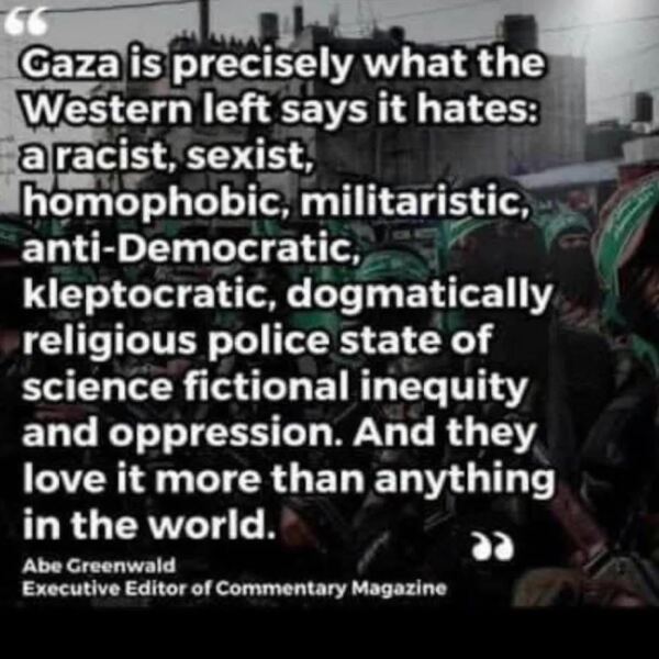 So are MSF wrong about Gaza too?