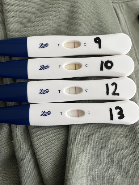 13dpo line progression