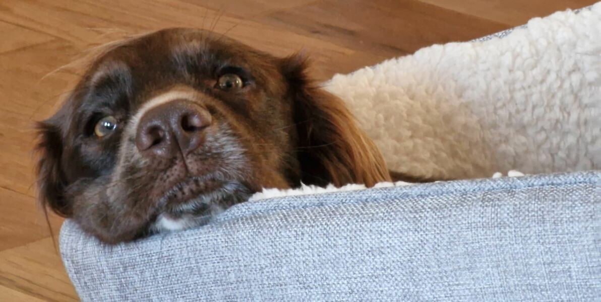 Our Cosmic Autumn Rebellion (Adolescent Support Group)