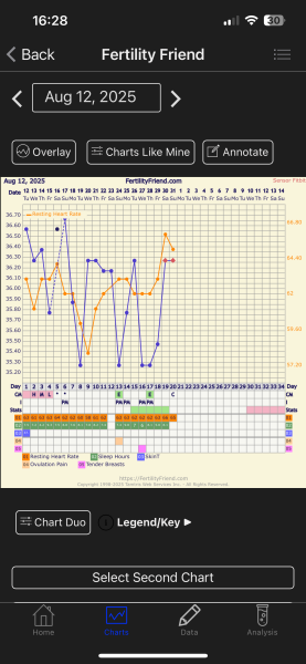 TTC TWW August/September 2025