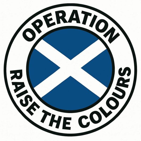 What is going with the flag being painted everywhere?