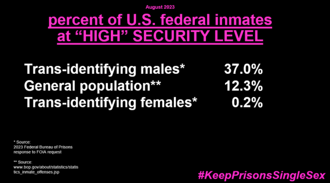 What would you actually do if you saw a transperson in the wrong toilet/changing room for their sex?