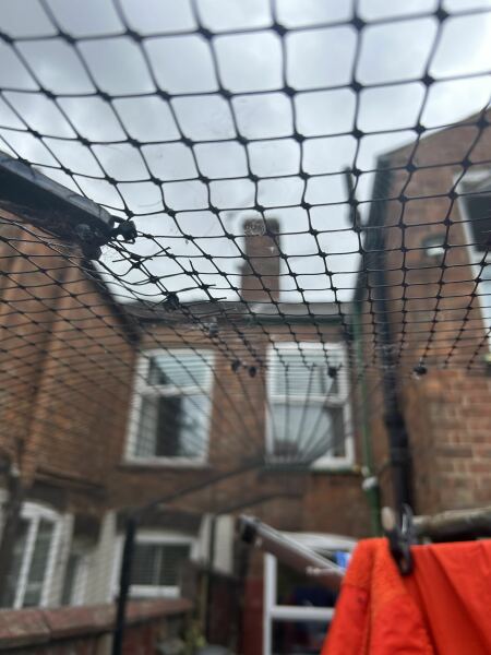 Just overheard the neighbours stove installation person telling my neighbour he will need to cut into the stack which I believe is shared.   I have a log burner installed and obviously am happy they are getting one too