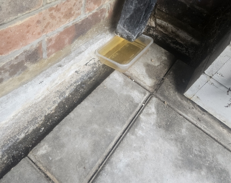 Disgusting neighbour's habit