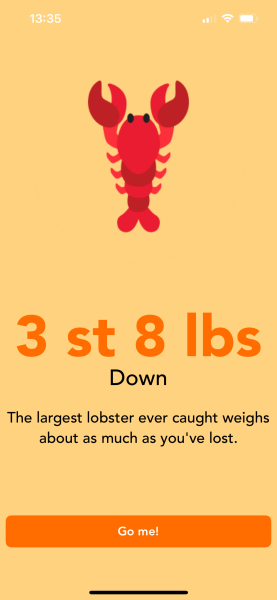 Mounjaro 10st or more to lose Thread 7