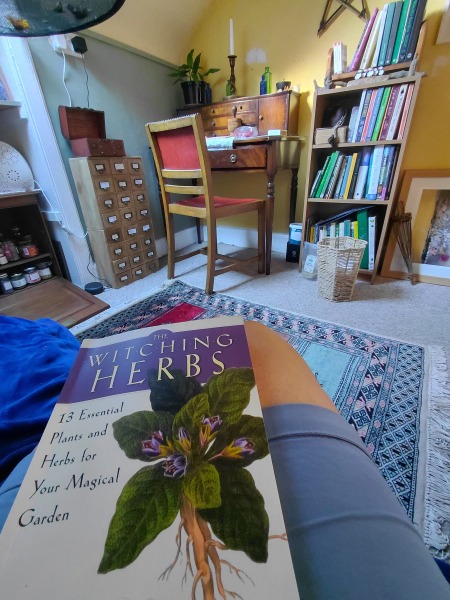 Any Witches Here? Part 21