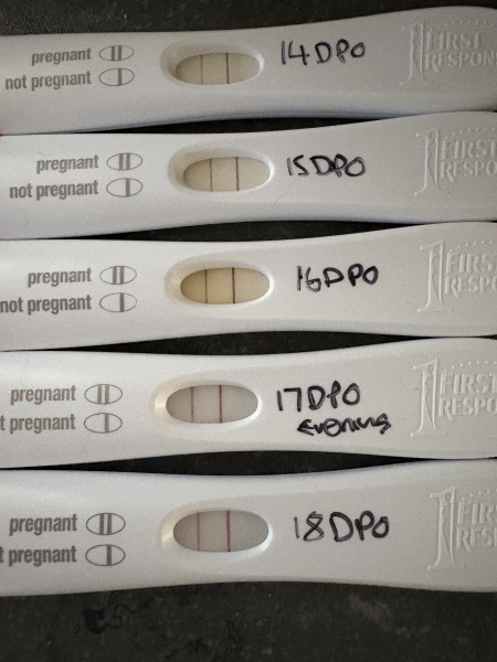 18DPO could this be a chemical?