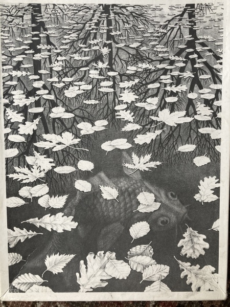 Anyone fancy another new jigsaw thread?