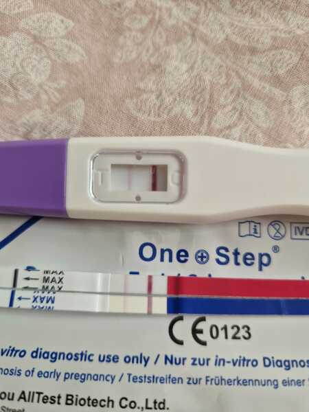 16DPO TW Previous Loss
