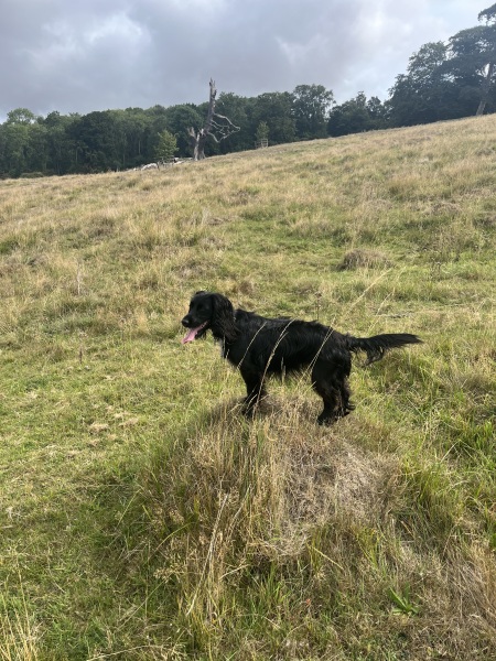 Our Cosmic Autumn Rebellion (Adolescent Support Group)