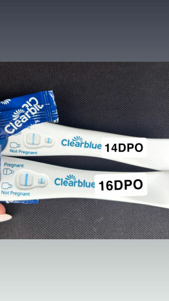 16DPO clear blue test