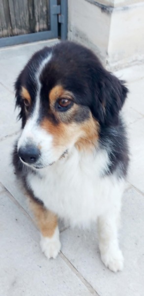 Thread 30 Starmer - Magic Roundabouts