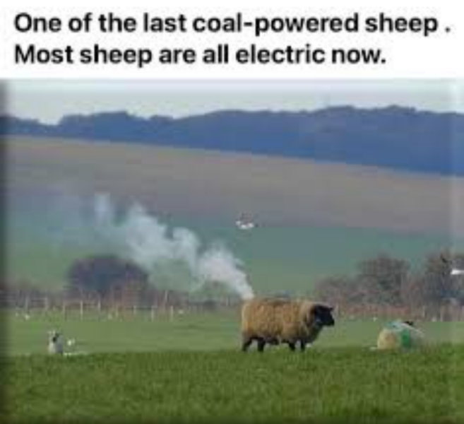 The Autumn Bluestocking - mist, mellow fruitfulness and hot chocolate!