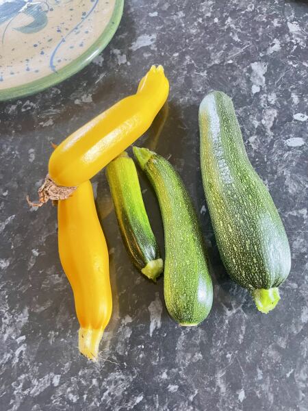 Summer 25 HFLC Boot Camp: Week 2