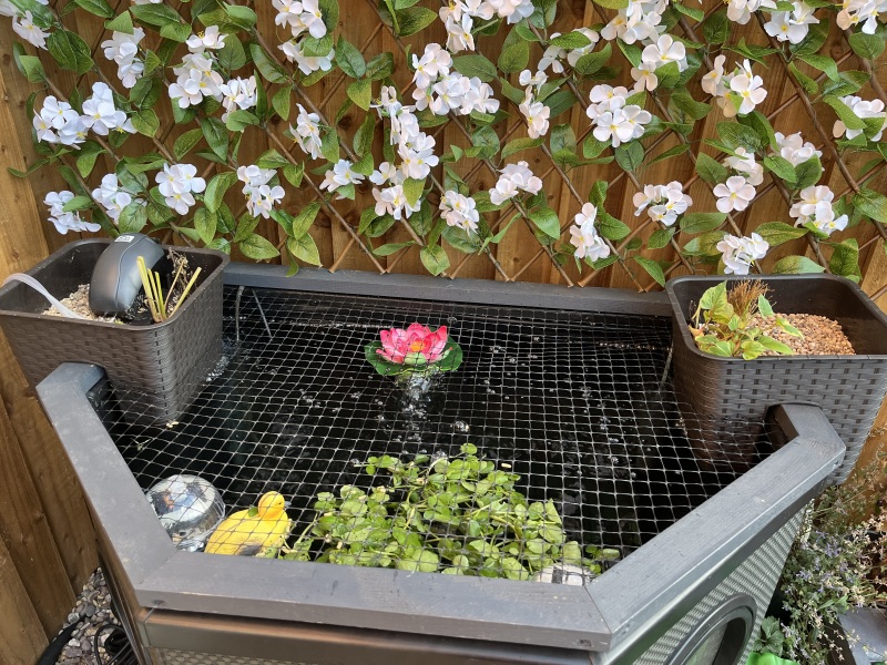 Thread 29 Starmer - Paint your Bandwagon