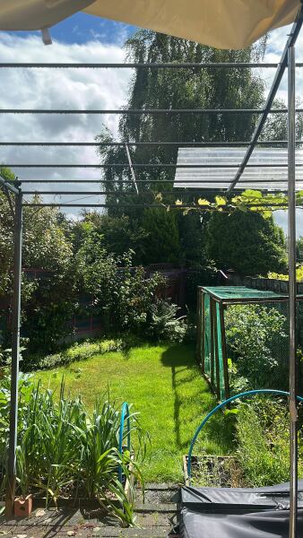 Garden disaaaaaaaaster! I've got no right to take my place with the human race