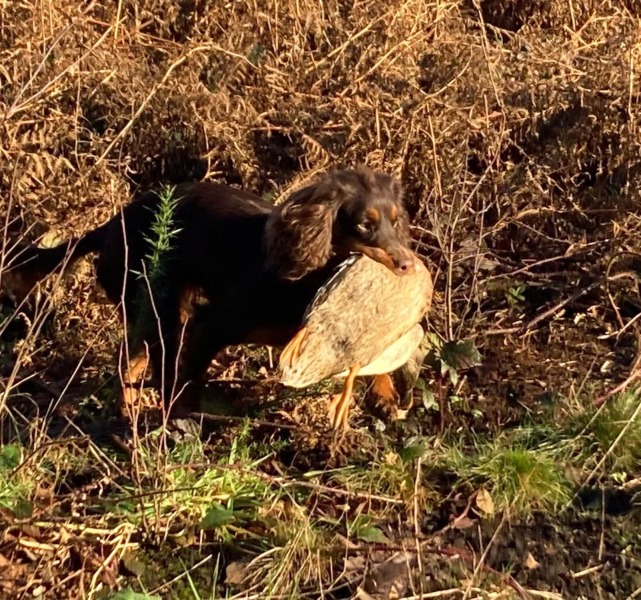 Labour isn't working - Thread 5