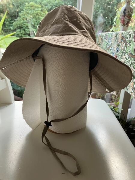 The Autumn Bluestocking - mist, mellow fruitfulness and hot chocolate!