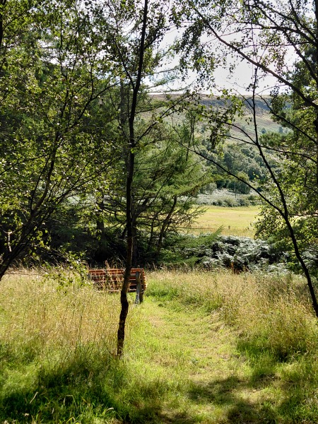 Any Witches Here? Part 21