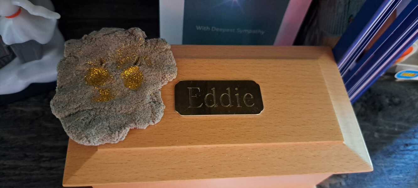 Coping with the grief after losing a very old dog