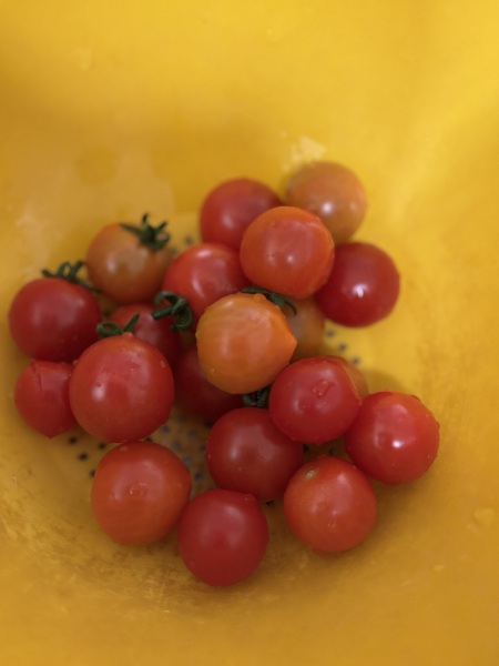 Come and tell us your dull and unexciting news 34: Calmly through the day