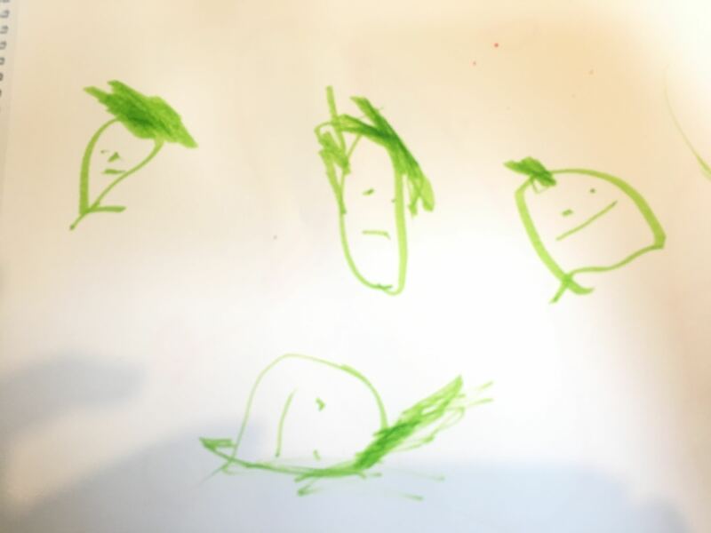 What age child drew this photo?