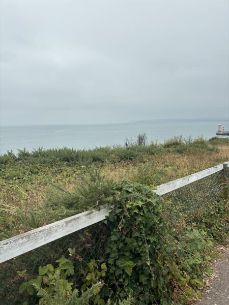 Thread 30 Starmer - Magic Roundabouts