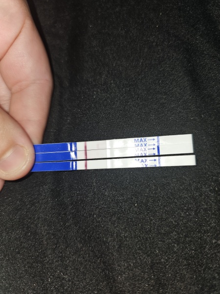 One step pregnancy test reliability