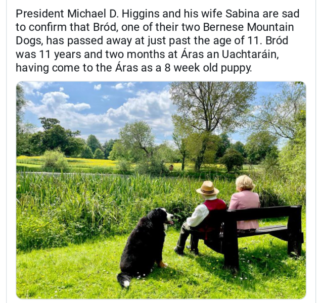 The Bluestocking does a late night flit again