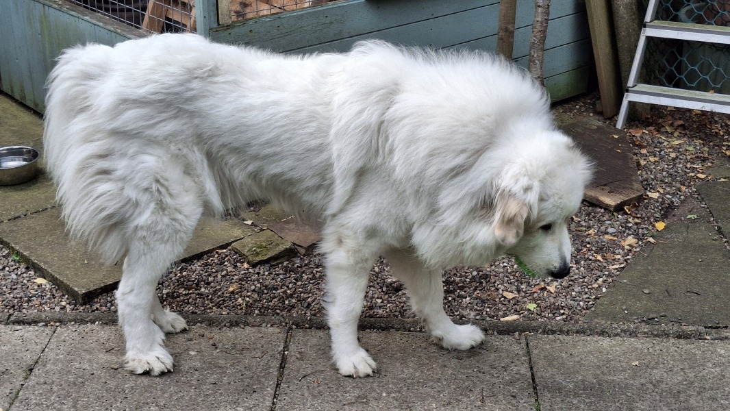 Our Cosmic Autumn Rebellion (Adolescent Support Group)