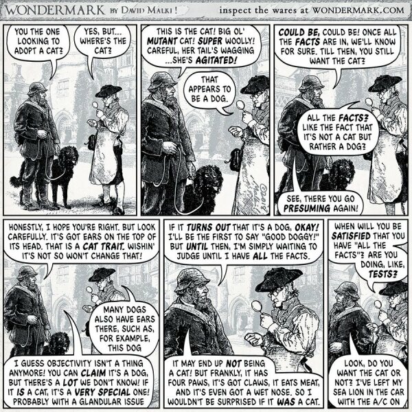 Misinformation correction: M&S Staff