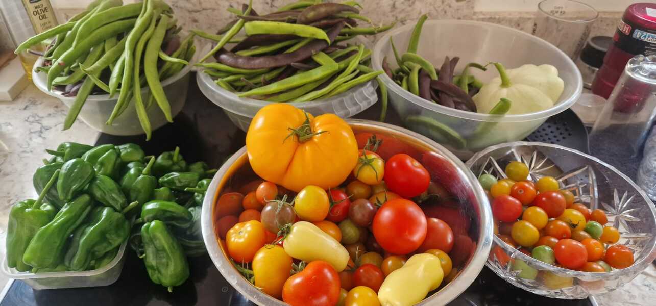 Runner bean/tomato glut- recipes needed please!
