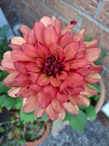 Year round Nigel Slater discussion thread Part 2