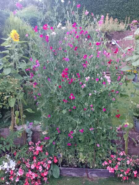 Significant Summer Saving, significantly less spending, super (non) splurging. Frugal folk continue being frugal here. All welcome.