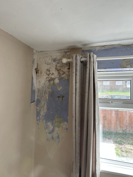 Experienced Reno Eyes on this please