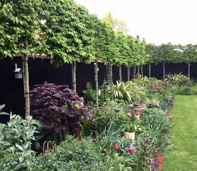 Green paint for fence around small garden