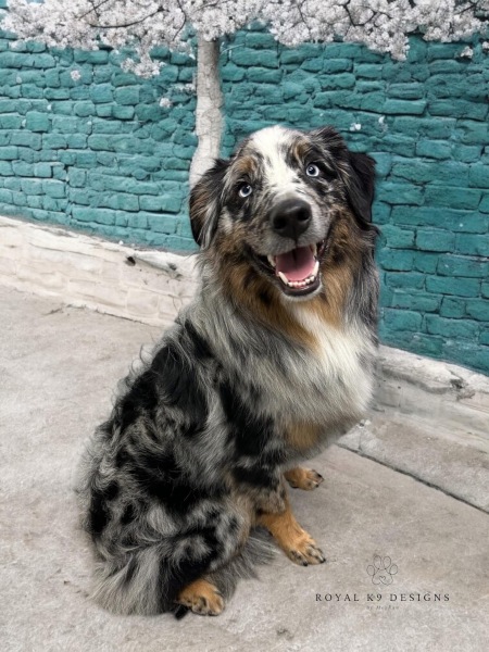 Show me you groom-day pics!