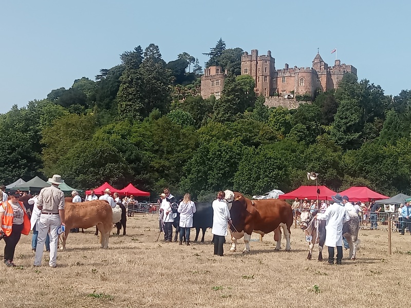 Year round Nigel Slater discussion thread Part 2