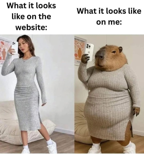 The Bluestocking does a late night flit again