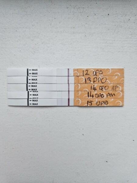 August TTC thread ❤️