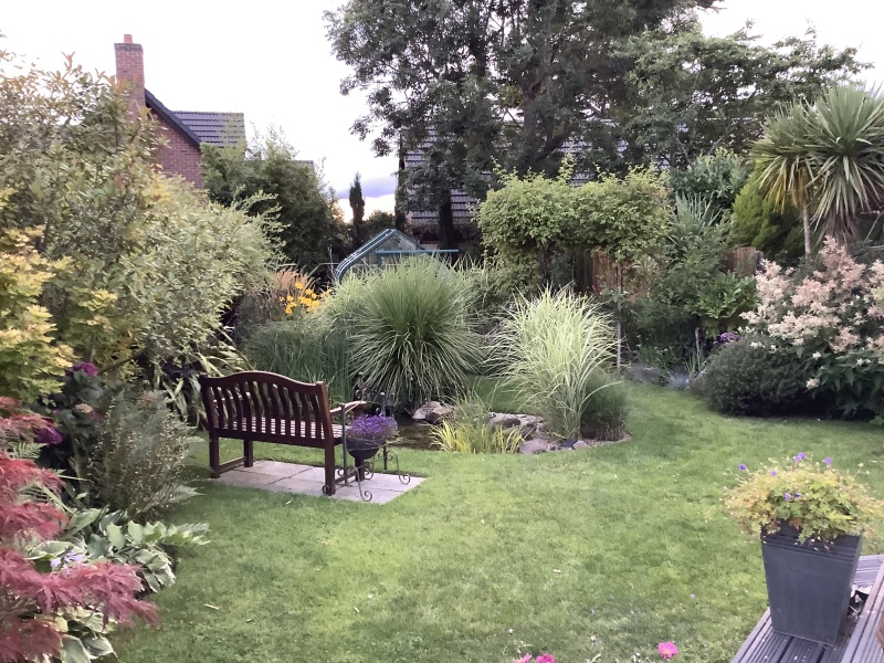 Plants going through/ over fence to neighbour