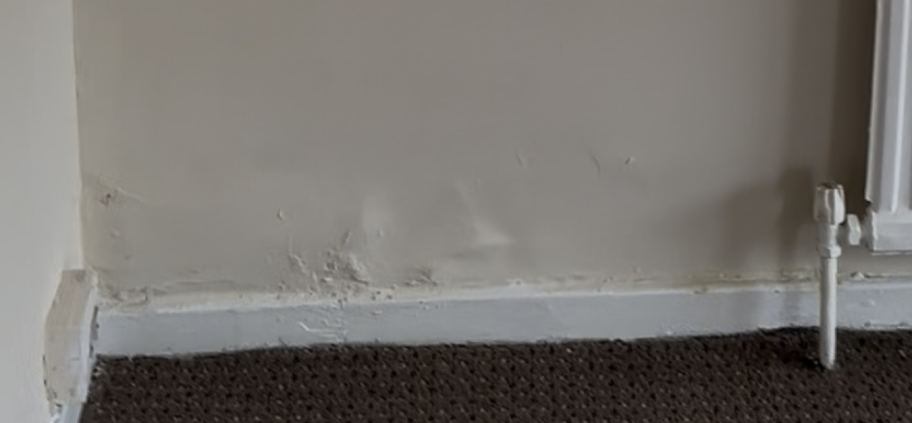 Is this mould ?