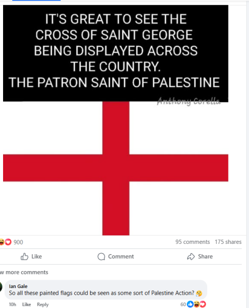 What do you think of the flags?