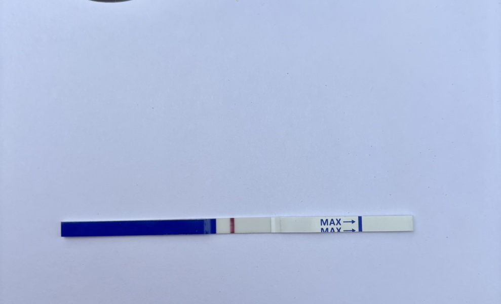 August TTC thread ❤️