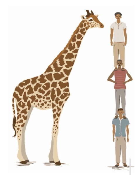 World boxing introduces mandated testing