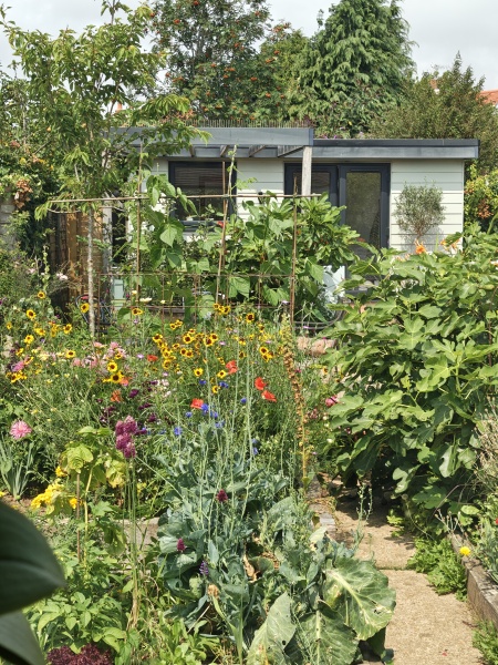 Garden disaaaaaaaaster! I've got no right to take my place with the human race