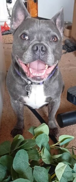 Continuing support thread for those trying to live an alcohol free life - summer 2025