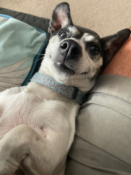 Thread 30 Starmer - Magic Roundabouts