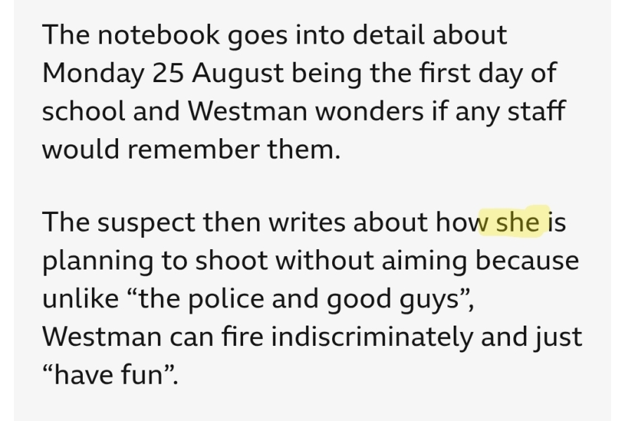 Minnesota mass shooting suspect - Tran activist.