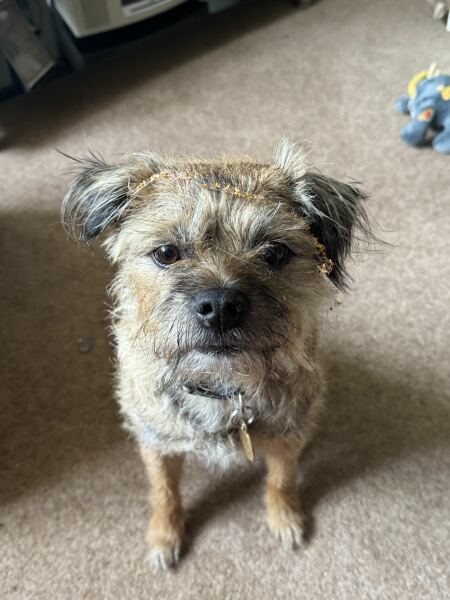 Thread #6, living with incurable cancer, taking ALL the drugs, and remembering our fallen comrades